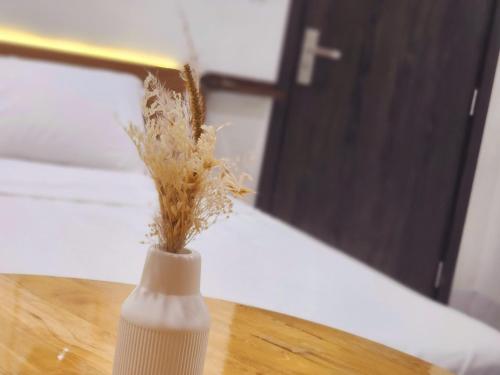 a white vase with a plant in it on a table at Mia House Homestay khách sạn 
