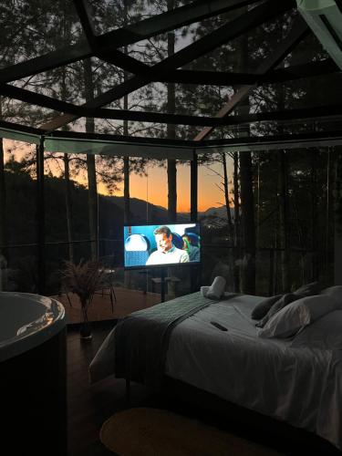 TV/trung tâm giải trí tại Maravilhosa Cabana de Vidro de Luxo na Natureza