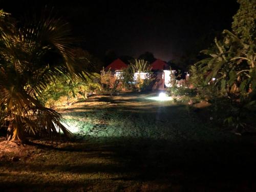 a night view of a yard with palm trees and a house at Aichi's lodges -gîtes in Capesterre-de-Marie-Galante