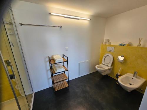 a bathroom with a toilet and a sink at Försterhaus Dalin Ferienwohnung Schweizer Alpen in Präz