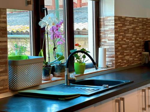 Η κουζίνα ή μικρή κουζίνα στο Holiday Home ESKU