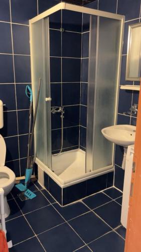 a bathroom with a shower and a toilet and a sink at Apartman Drazen Rafailovici in Rafailovici