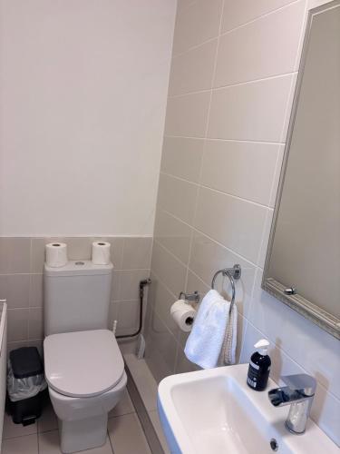a bathroom with a toilet and a sink at Beechwood House Accommodation in Blarney