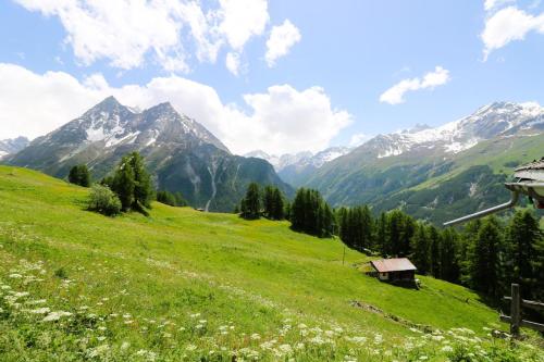 a green pasture with mountains in the background at Mayen Motau - Retour a l essentiel La Forclaz in La Forclaz