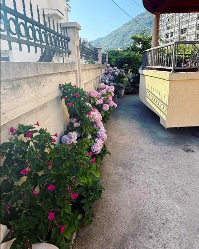 Gallery image of Apartmani590 in Bar, Susanj