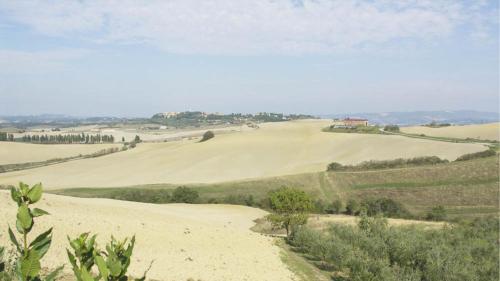 a field of rolling hills with a dirt road at Agriturismo Casale trieste in Laiatico