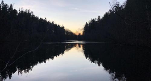 a river with trees on the sides of it at Villa Verde by Hvalstrand beach in Nesbru