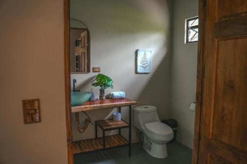 a bathroom with a toilet and a sink and a mirror at Bamboo River Lodge in Horquetas