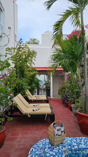 a patio with chairs and palm trees and plants at Hotel Kartaxa in Cartagena de Indias