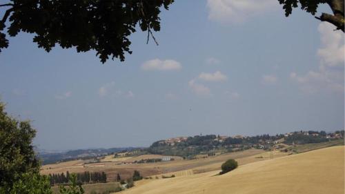 a view of a field from a tree at Agriturismo Casale trieste in Laiatico