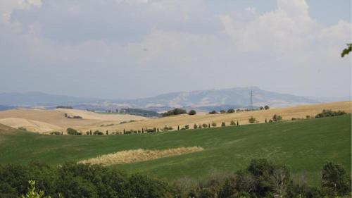 a green field with trees and hills in the background at Agriturismo Casale trieste in Laiatico