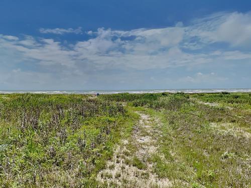 a dirt road in the middle of a grassy field at Whispering Sands Beachfront in Galveston