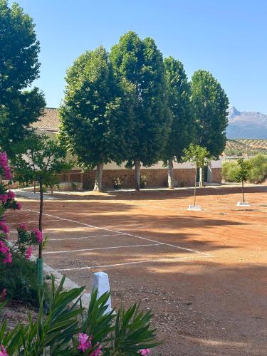 Φυσικό τοπίο κοντά σε αυτό το διαμέρισμα