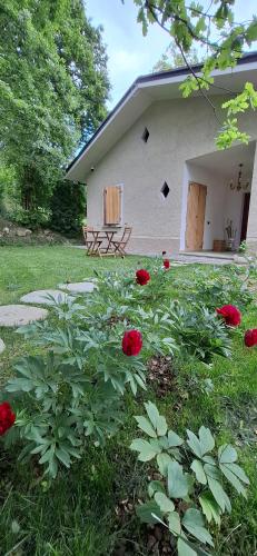 Κήπος έξω από το Casa Febe