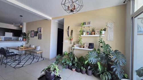 Ein Zimmer mit einem Haufen Topfpflanzen darin. in der Unterkunft Habitación en casa de Diana in San Salvador