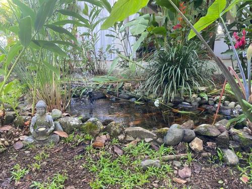 a garden with a pond in the middle of a yard at Private Cabina at Yoga Center in Ojochal