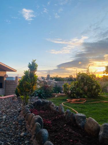 a backyard with a rock wall and a garden at Lucky Monkey Lodge in Arusha