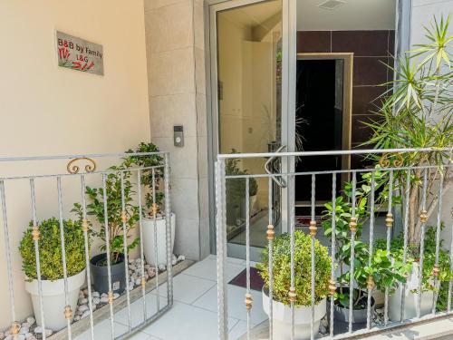 a group of potted plants on a balcony at B&B by Family L&G in Vibo Valentia Marina