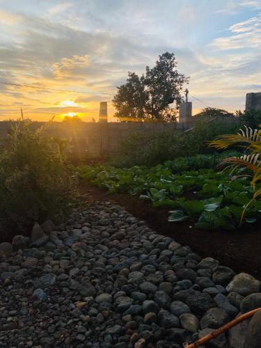 a gravel path with a sunset in the background at Lucky Monkey Lodge in Arusha