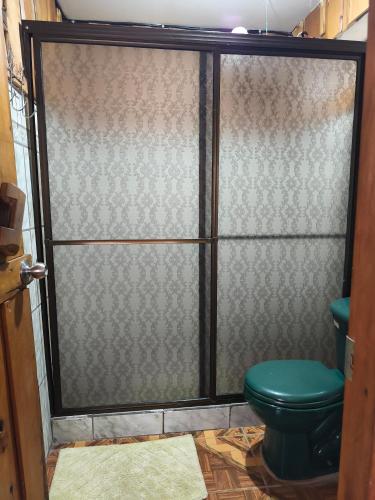 a glass shower door with a green toilet in a bathroom at Katty Mountain View in Concepción