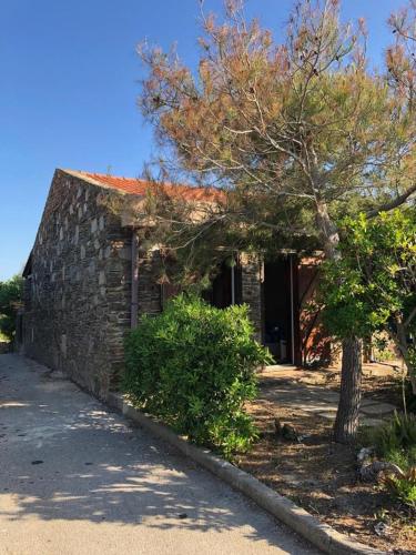 a stone building with a tree in front of it at Villetta sul Mare in Stintino