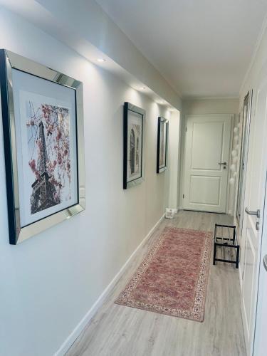 a hallway with a rug and paintings on the walls at Maison Lily Apartment 1 in Bad Lauterberg