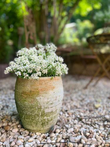 a vase filled with flowers sitting on a ground at Maison Lily Apartment 1 in Bad Lauterberg