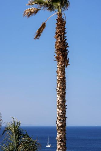 Gallery image of Sir Maximus Boutique Hotel & Spa in Platis Yialos Mykonos