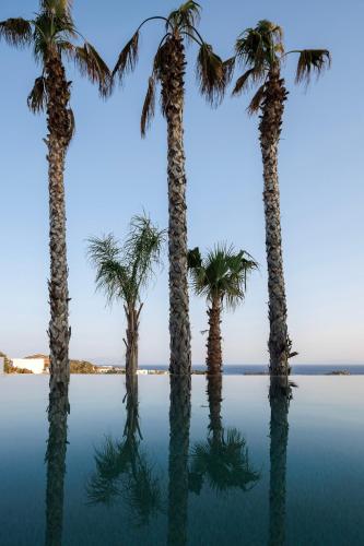 Gallery image of Sir Maximus Boutique Hotel & Spa in Platis Yialos Mykonos