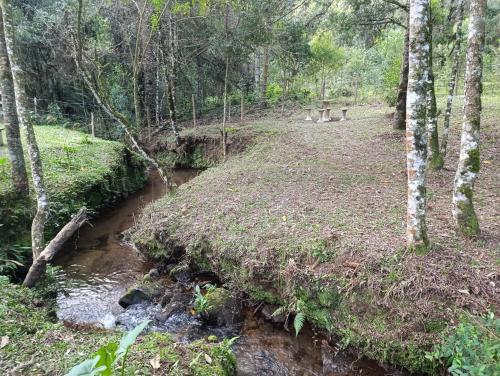 a stream in a wooded area with a bridge and trees at Casa Cipreste no Refúgio Pinheiro Beira Rio in Sapucaí-Mirim
