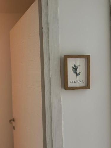 Fotografie z fotogalerie ubytování Casa Botanya - Rooms v Janově