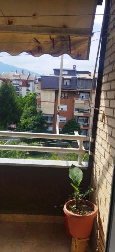 una planta en una olla sentada en un balcón en Таra 2, en Bitola