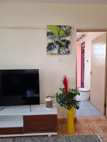 a living room with a flat screen tv and a plant at Quiet Quarter in Embu