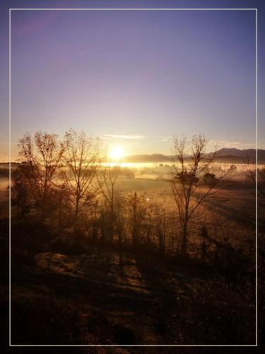 a sunset over a field with trees in the foreground at La Pause En Soi in Ponlat-Taillebourg