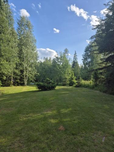 a large grass field with trees in the background at Miesto pod Váš stan in Štôla