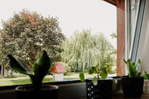 Taman di luar Pod ceglaną ścianą
