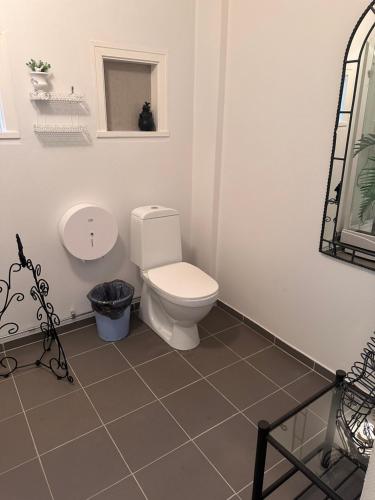 a bathroom with a white toilet and a sink at Dahlias Bed & Breakfast in Väderstad