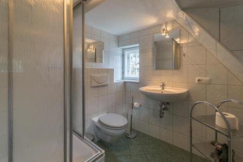 a bathroom with a toilet and a sink and a shower at Ferienhaus Herta ein charmant, saniertes Einzeldenkmal im Elbsandsteingebirge -Nähe Bad Schandau in Rathmannsdorf