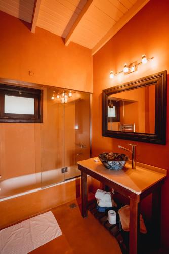 a bathroom with a sink and a shower with a mirror at Puesto Viejo in Cañuelas