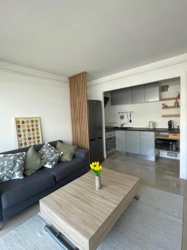 a living room with a couch and a coffee table at Appartement à vence in Vence