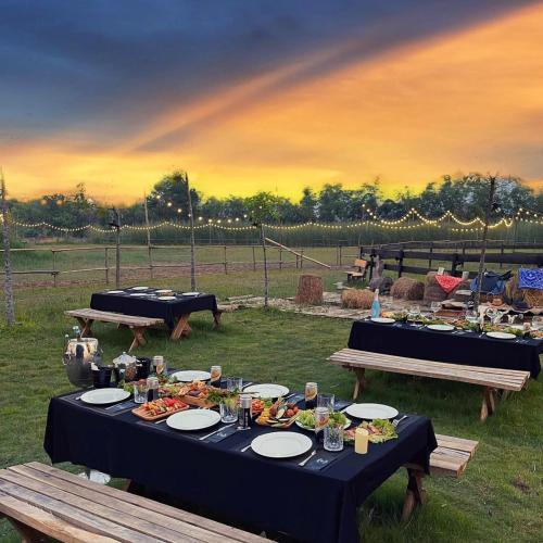 a table with plates of food on it in a field at Điểm Hẹn restaurant, cắm trai, sở thú mini farm, câu cá giải trí 