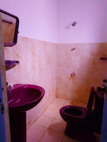 a bathroom with a purple sink and a toilet at Niluka Rest in Kataragama