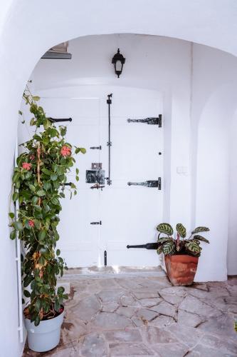 a white door with two potted plants in front of it at Castle House and Beach in Sines