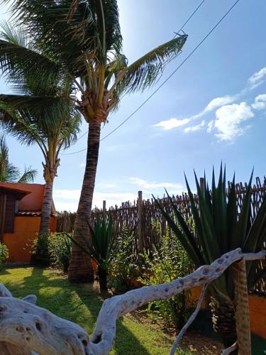 two palm trees in a yard with a fence at Pousada Kite Guajiru in Itarema