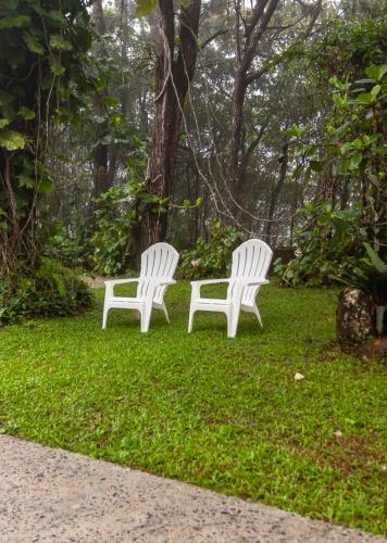 two white chairs sitting in the grass under a tree at Private luxury house 3 floors in Los Altos de Cerro Azul