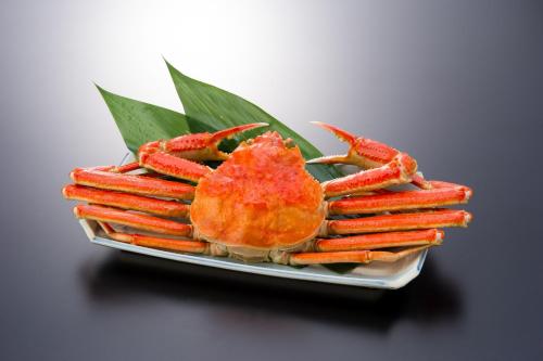 a plate with a specimen of a crab and carrots at Tsukimotoya Ryokan in Toyooka