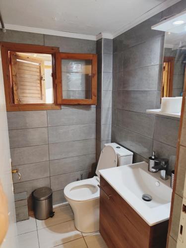 a bathroom with a toilet and a sink at Isminis country house in Vergia