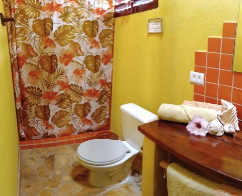 a bathroom with a toilet and a shower curtain at Pousada Kite Guajiru in Itarema