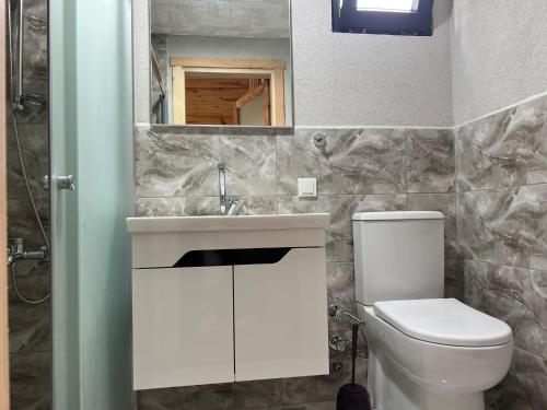 a bathroom with a toilet and a sink and a mirror at Ali's House 61 in Anayurt