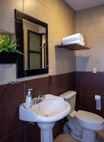 a bathroom with a sink and a toilet and a mirror at Departamento Victoria in San Juan de los Lagos